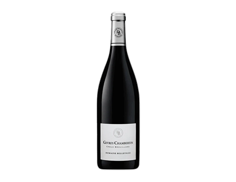 Domaine Belleville - Gevrey Chambertin Creux Brouillard 2022