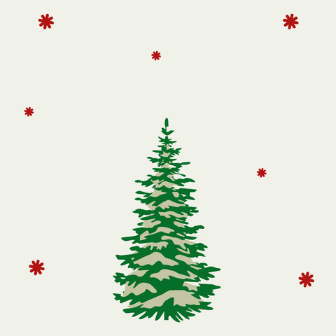 Sapin NORDMANN 80/100 cm